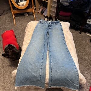 Pistola Light Blue Flare Jeans